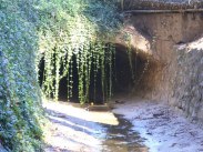 59328_477288252314022_597751525_n