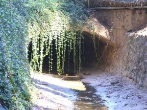 59328_477288252314022_597751525_n